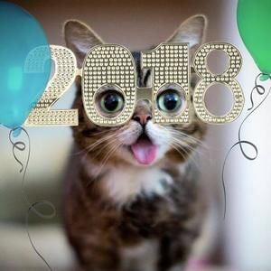 Meet your Posher, Rhonda